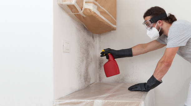 Professional Mold Remediation technician working in Medford, NY
