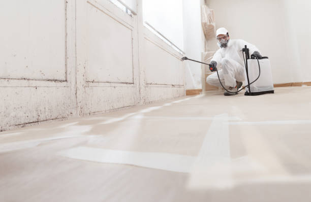 24/7 Emergency Mold Remediation experts in Medford, NY