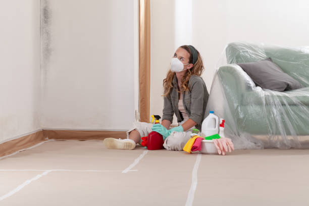 Reliable Mold Remediation contractor in Medford, NY by 24 Hour Mold Removal